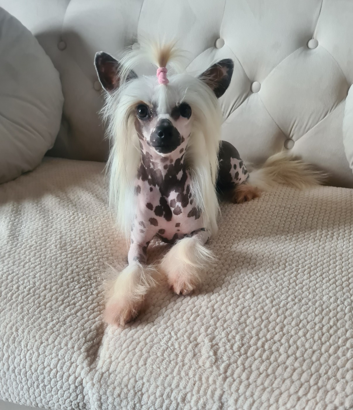 Utah beach De L'Eden Angel